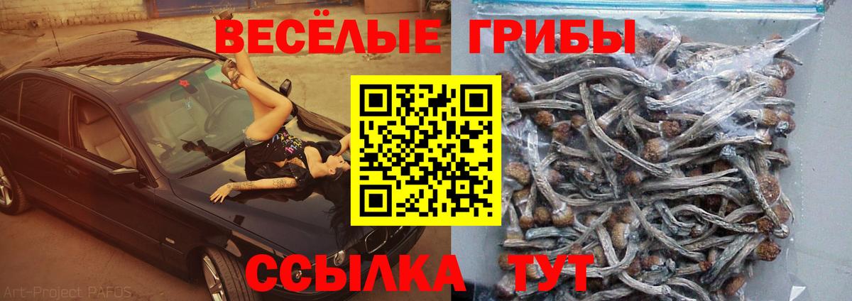 Псилоцибиновые грибы мицелий Ликино-Дулёво